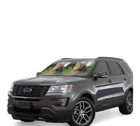 Car Windshield Sun 2-Piece Foldable Front Windshields Shade Suns Visor Protector Tabby Cat on The Grass Looking Windshield Sun Shades Heat and UV Rays Sunshade for Car Keeps Vehicle Cool M