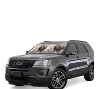 Car Windshield Sun 2-Piece Foldable Front Windshields Shade Suns Visor Protector Watercolor of Hawk Sitting in The Tree Windshield Sun Shades Heat and UV Rays Sunshade for Car Keeps Vehicle Cool S