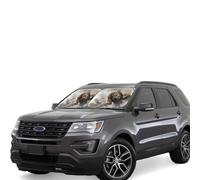 Car Windshield Sun 2-Piece Foldable Front Windshields Shade Suns Visor Protector Watercolor of Hawk Sitting in The Tree Windshield Sun Shades Heat and UV Rays Sunshade for Car Keeps Vehicle Cool L