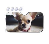 Car Windshield Sun Shade Cute Chihuahua Car Front Window Sunshades Upgrade Foldable Auto Sun Visor Protector Blocks Universal Fit SUV Truck Interior Accessories