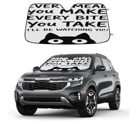 Car Windshield Sun Shade, Foldable Car Sun Visor Shade Vehicle Windshield Protection Heat Reduction Front Windshield Sunshade Blocks, Universal Fit for Most Cars SUV Pickup Trucks(Cat Watching You)