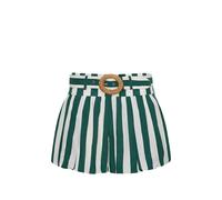 Cara Cara Ray striped belted shorts - Green 4