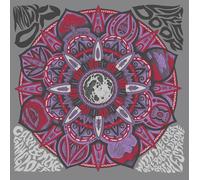 Cara & Mike Gangloff with the Great American Drone Orchestra - Knock On Life's Door [VINYL]