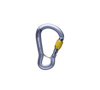 Carabiner Black Diamond GRIDLOCK SCREWGATE CARABINER (Gray)