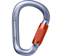 Carabiner Black Diamond Gris TU
