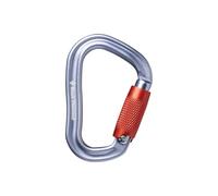 Carabiner Black Diamond Vaporlock Gris TU