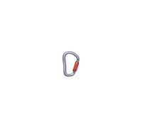 Carabiner Black Diamond VAPORLOCK TWISTLOCK CARABINER (Gray)