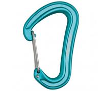 Carabiner Edelrid Nineteen G (icemint)