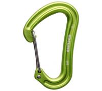 Edelrid Nineteen G - Carabiner Oasis One Size