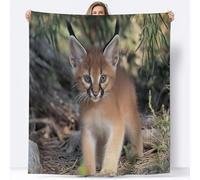 Caracal Throw Blanket 200 x 200 cm Animals Flannel Fluffy Fleece Blanket Soft Lightweight Warm Blankets and Throws for Bed Sofa and Couch A-3528