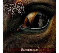 Carach Angren - Lammendam (Ltd. 2LP on Orange & Black marbled vinyl) [Vinyl LP] [VINYL]