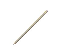 Caran D Ache Pablo Coloured Pencil #403 Beige