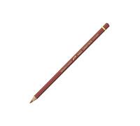 Caran D Ache Pablo Coloured Pencil #497 Bronze