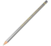 Caran d'Ache : Pablo Coloured Pencil : Silver 498