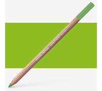 Caran d'Ache : Pastel Pencil : Middle Moss Green 10%