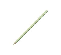 Caran D'Ache Water Colour Supracolour Pencils - Assorted - ASH GREY