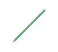 Caran D'Ache Water Colour Supracolour Pencils - Assorted - GREYISH GREEN