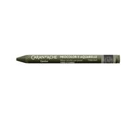 Carand'Ache Caran D Ache Neocolor Ii Water Soluble Wax Pastels - Artist Crayon Colour - (049 Raw Umber)