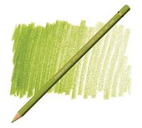 Carand'Ache Caran D'ache Pablo Khaki Green Permanent Artist Colour Pencil - Vert Kaki 016