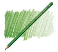 Carand'Ache Caran D'ache Pablo Moss Green Permanent Artist Colour Pencil - Vert Mousse 225