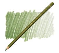 Carand'Ache Caran D'ache Pablo Olive Green Permanent Artist Colour Pencil - Olive Fonce 249