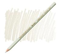 Carand'Ache Caran D'ache Supracolor Ash Grey Watersoluble Artist Aquarelle Colour Pencil - Gris Cendre 401