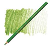 Caran d'Ache : Supracolor Soft : Watersoluble Pencil : Moss Green