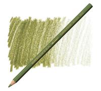 Carand'Ache Caran D'ache Supracolor Olive Grey Watersoluble Artist Aquarelle Colour Pencil - Vert Reseda 018