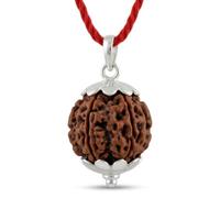 CaratYogi Natural 4 Face Four Mukhi Nepali Rudraksha 925 Sterling Silver Pendant Shiva Devotional Locket for Men Women Jewellery