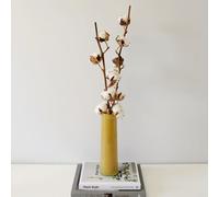 Carbeth Plants 2 X Natural Dried Cotton Stems - Approx. 60Cm In Height - Dried Flowers - Ideal For Home Décor - Flower Arranging