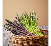 Carbeth Plants 25 X Asparagus Crown Mixed Roots For Planting - Premium Quality Vegetable Perennials For Kitchen Gardens & Allotments