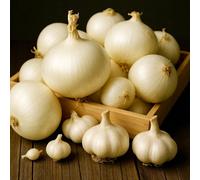 Carbeth Plants 250G White Onion Sets + 1 White Garlic Bulb Bundle - Easy Grow Vegetable Bulbs For Strong Flavour, Colourful Harvest & Cooking