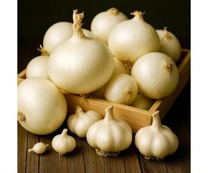 Carbeth Plants 250g White Onion Sets + 1 White Garlic Bulb Bundle Easy Grow Vegetable Bulbs for Strong Flavour, Colourful Harvest & Cooking - Ideal for UK Gardens