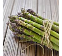 Carbeth Plants 6 X Asparagus Crown Backlim Roots For Planting - Premium Quality Vegetable Perennials For Kitchen Gardens & Allotments