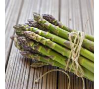 Carbeth Plants 9 X Asparagus Crown Backlim Roots For Planting - Premium Quality Vegetable Perennials For Kitchen Gardens & Allotments