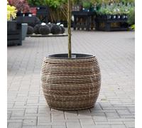 Carbeth Plants Mica Plant Pot - Stylish Dark Brown Rattan Cane - Large