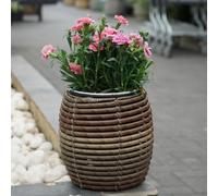 Carbeth Plants Mica Plant Pot - Stylish Dark Brown Rattan Cane - Small
