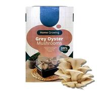 Carbeth Plants Mushroom Growing Kit Grey Oyster - Beginner Friendly Ready To Grow Educational Kit - Easy To Use Gardening Gift - Grow Your Own