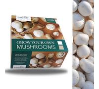 Carbeth Plants Mushroom Growing Kit - Grow Your Own White Button Suffolk Mushrooms - Perfect For Beginners