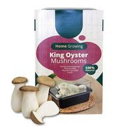 Carbeth Plants Mushroom Growing Kit King Oyster - Beginner Friendly Ready To Grow Educational Kit - Easy To Use Gardening Gift - Grow Your Own