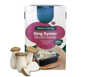 Carbeth Plants Mushroom Growing Kit King Oyster - Beginner Friendly Ready To Grow Educational Kit - Easy To Use Gardening Gift - Grow Your Own