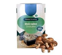 Carbeth Plants Mushroom Growing Kit Shiitake - Beginner Friendly Ready To Grow Educational Kit - Easy To Use Gardening Gift - Grow Your Own