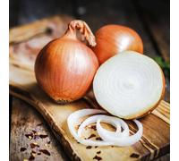 Carbeth Plants Onion Sets Crusado 100 X Vegetable Bulbs - Yellow Spring Planting Quality Sets - High Yielding Easy To Grow Perfect For Uk Growing