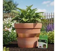 Carbeth Plants Slug And Snail Repellent 4M Copper Tape - Chemical Free Pest Barrier For Pots & Beds