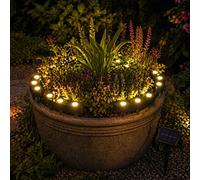 Carbeth Plants Solar Led Flower Pot Lights Warm White - 8 Lighting Modes - Garden Stake Lights For Plant Pots, Borders & Pathways