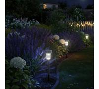Carbeth Plants Stainless Steel Solar Lights - 5 Set - Outdoor Path & Border Lighting