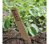 Carbeth Plants Wooden Plant Labels 24 Pack - Natural Garden Markers for Seeds, Pots, Herbs & Vegetable Beds - Easy Write Tags (15cm)
