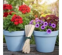 Carbeth Plants Wooden Plant Labels 24 Pack - Natural Garden Markers for Seeds, Pots, Herbs & Vegetable Beds - Easy Write Tags (10cm)