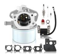 Carbhub 790120 Carburetor for Briggs & Stratton 790120 694202 693909 692648 499617 with Ignition Coil fit for 794854 493237 796964 695711 492416 491760 121700-126700 Module 120200