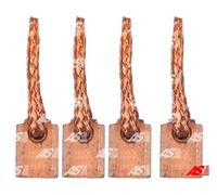 CARBON BRUSH STARTER BSX196